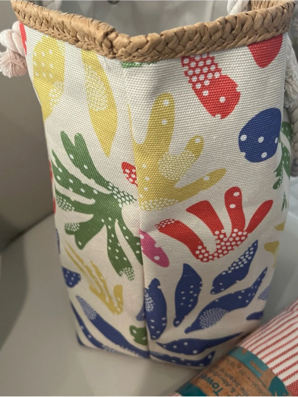 Multicolor Canvas Beach Tote with Rope Handles